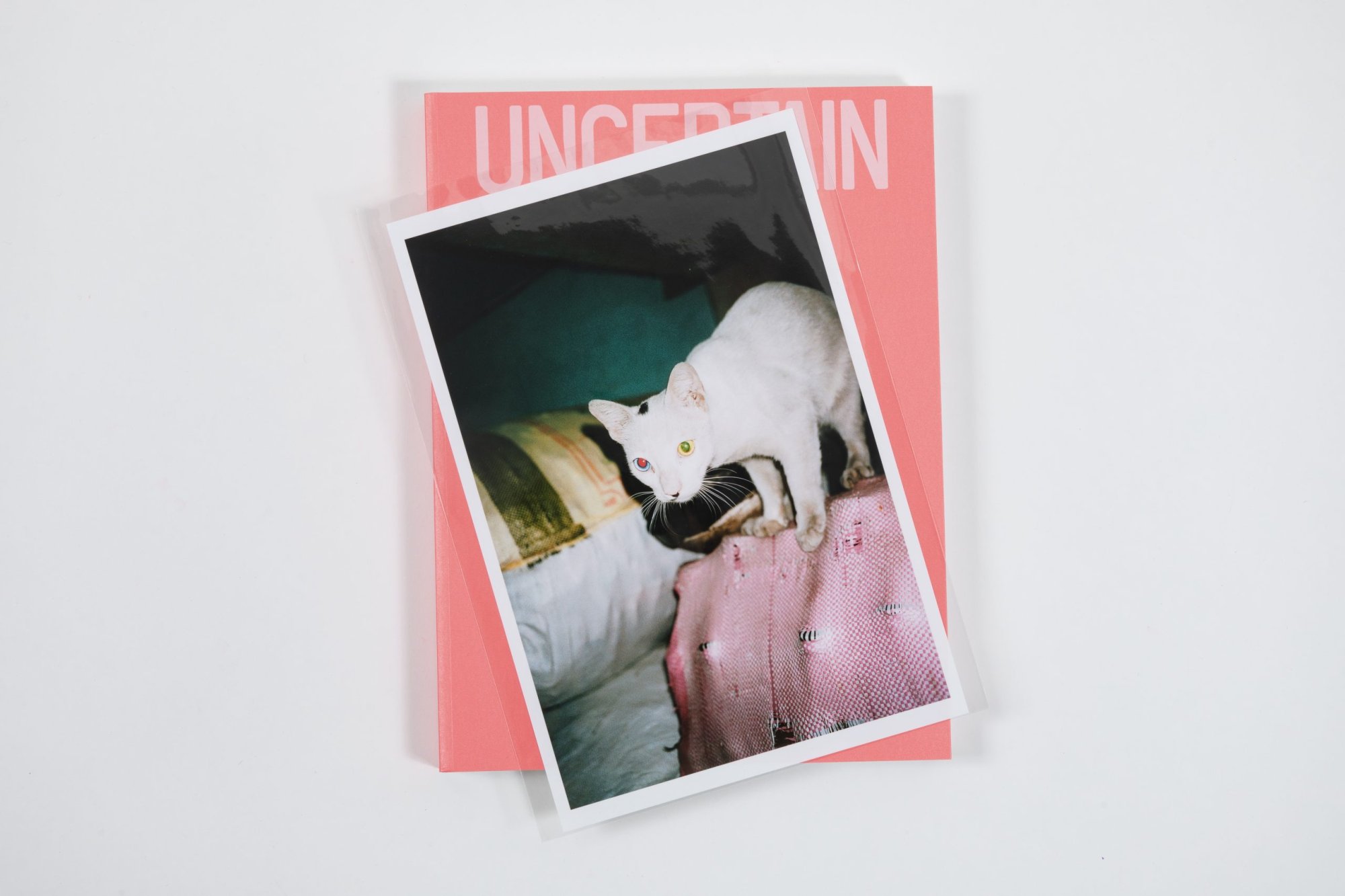 Uncertain Life and Sure Death – Tirage limité (Chat – Cat)