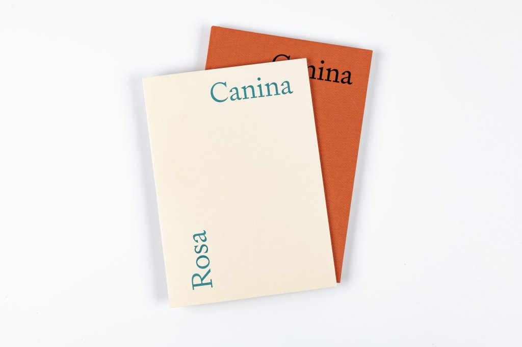 Rosa Canina – Tirage de tête